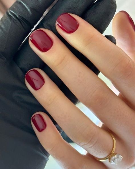 Fall Clean Nails, One Colour Nails Simple, Short Squoval Nails Fall, Warm Tone Nails, Fallnails 2024, Classic Nail Ideas, Minimal Fall Nails, Simple Fall Nails Autumn, November Nails Colors