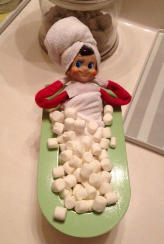 Elf On The Shelves, Timmy Time, Awesome Elf On The Shelf Ideas, Xmas Elf, Elf Antics, Elf Fun, Buddy The Elf, 12 December, Elf On The Shelf Ideas