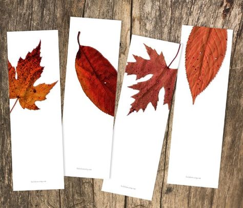 leaf bookmarks Leaves Bookmark, Leaves Diy, Leaves Photography, Leaf Bookmark, Handmade Bookmarks Diy, Leaf Photography, Creative Bookmarks, Bookmark Craft, Diy Print