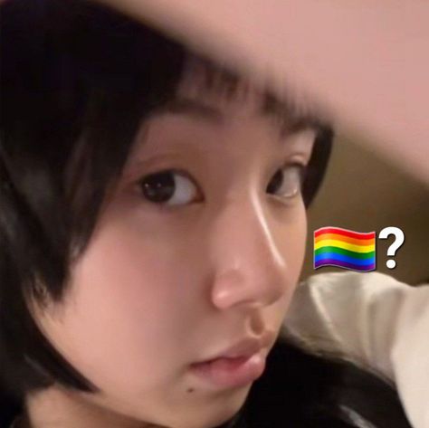 twice chaeyoubf gay meme idk Gay Meme Faces, Twice Gay Moments, Gay Meme, Twice Chaeyoung, Gay Memes, Pop Memes, Kpop Memes, In This Moment, Memes