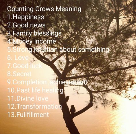 Counting Crows meaning 5 Black Crows Meaning, Counting Crows Meaning, 10 Crows Meaning, 7 Crows Meaning, Crow Cawing Meaning, Crow Number Meaning, Crows Meaning Witchcraft, Three Crows Meaning, One Crow Meaning