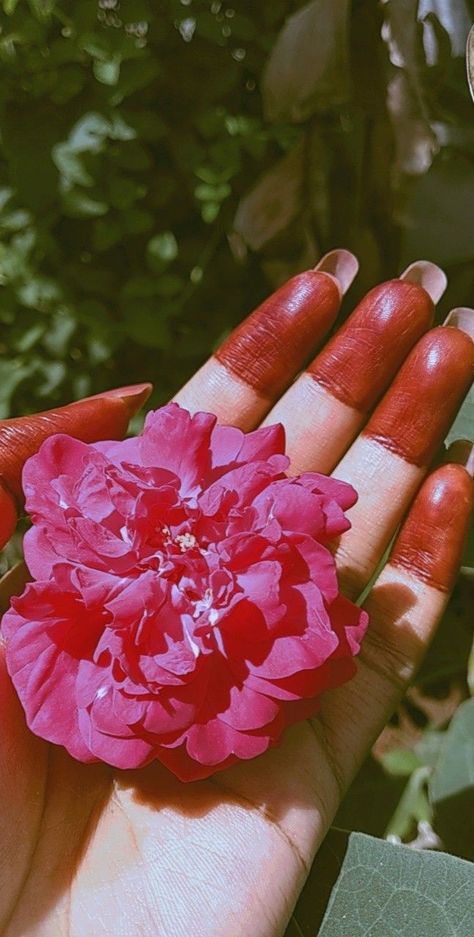 Imagine Videos, Bramha Ji, Calling Phone, Aesthetic Dpz, Cut Pic, Rose In Hand, शादी की तस्वीरें, Hands Holding Flowers, Girly Dp