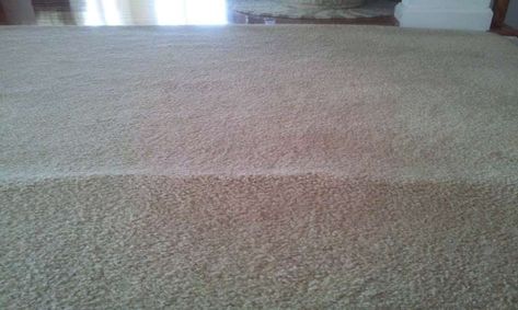 Want to know how to get wrinkles out of carpet without a stretcher? Check out the mentioned ways to get rid of wrinkles easily from carpet. Carpet Wrinkles, Carpet Texture Pattern, Types Of Hardwood Floors, Rug Over Carpet, Carpet Smell, Hickory Flooring, Get Rid Of Wrinkles, Carpet Cover, Wrinkle Repair