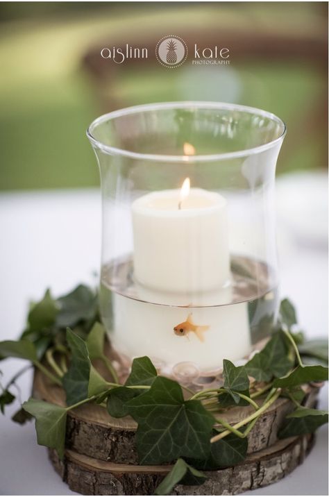 Goldfish centerpiece. Lydia noble events Beta Fish Centerpiece Ideas, Goldfish Centerpiece Wedding Live Fish, Beta Fish Centerpiece, Goldfish Centerpiece, Bubble Eye Goldfish, Fish Centerpiece, Black Goldfish, Fishing Tournament, Formal Ideas