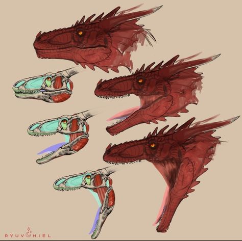 Dragon Face Shapes, Dragon Lair Concept Art, Western Dragon Art, Dragon Made Of Fire, Dragon Anatomy Reference, Dragon Saddle Design, Dragon Breathing Fire Drawing, Dragon Horns Reference, Wyvern Drawings