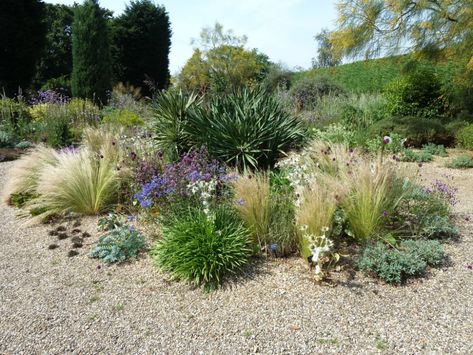 Bottlebrush Plant, Beth Chatto, Autumn Clematis, Flower Structure, Gravel Landscaping, Seaside Garden, Famous Gardens, Clematis Vine, Dry Garden