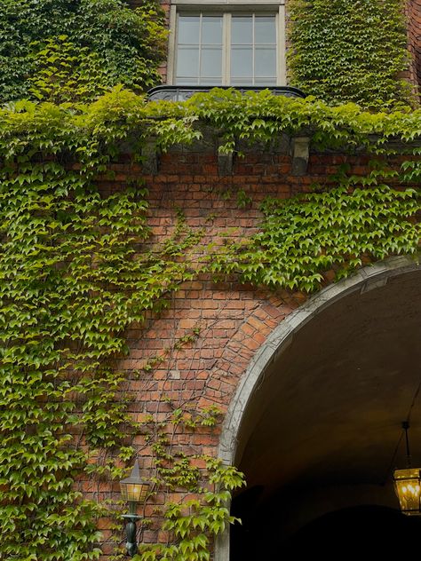 Ivy On Brick House, Ivy On Brick Wall, Town Hall Aesthetic, Brick House Aesthetic, Red Brick Aesthetic, Abandoned Building Aesthetic, Old University Building, Vintage College Aesthetic, Brick Wall Aesthetic