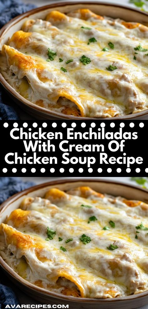 Experience the ease of making Chicken Enchiladas using cream of chicken soup. This recipe combines tender chicken and tortillas in a creamy sauce, resulting in a comforting and delicious family meal. Flavorful Chicken Breast Recipes, Chicken Cheese Enchiladas, Soup Cheese, Cream Cheese Chicken Enchiladas, Soft Tortillas, Easy Chicken Enchilada Recipe, Chicken Crockpot Recipes Easy, Creamy Chicken Enchiladas, Chicken Enchiladas Easy