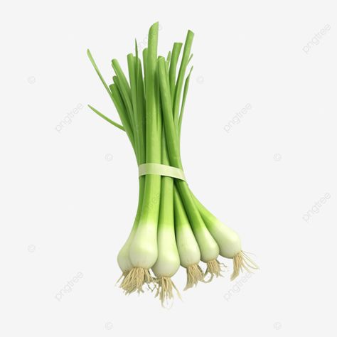 green spring onion fresh and healthy vegetable concept 3d render illustration onion spring fresh p Spring Onion Illustration, Healthy Vegetable, Ad Illustration, Green Spring, Healthy Vegetables, Spring Onion, Graphic Templates, 3d Render, Vector Graphics