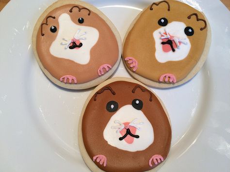 Hamster cookies from XObakes for the goodie boxes Animal Biscuits, Hamster Party, Hamster Birthday, Pig Cakes, Hamster Ball, Cupcake Day, Ball Birthday Parties, Keto Christmas, Pig Cake