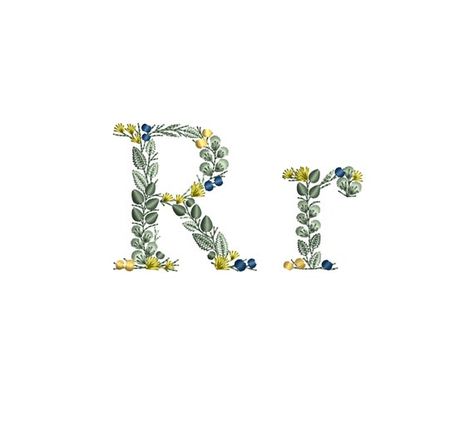 R Letter Design, Botanical Monogram, Stocking Ideas, Small Letter, Small Letters, Lower Case, Letter R, Star Stitch, Upper Case