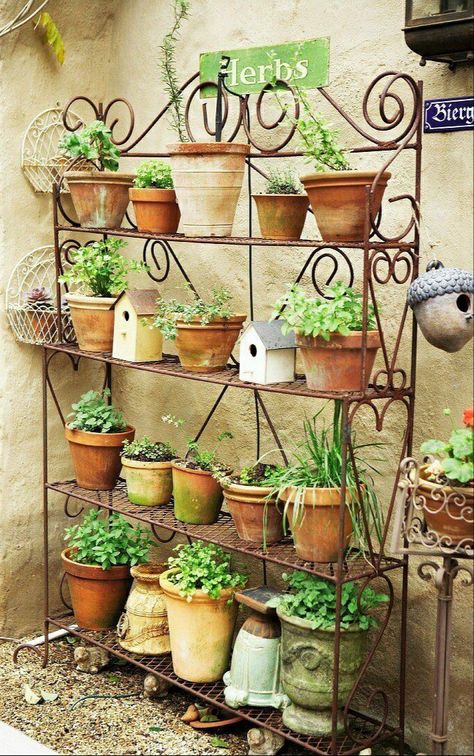 Patio Herb Garden, Succulent Wall Garden, Garden Rack, Herb Garden Design, Garden Shelves, Interior Design Images, Bakers Rack, Unique Photos, Garden Stand