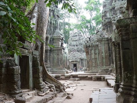 the temples of Angkor