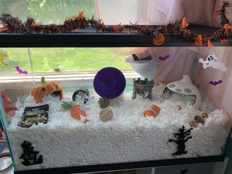 Hamster Cage Tank, Aesthetic Hamster Cage Ideas, Hamster Tank Ideas, Halloween Hamster Cage Theme, 40 Gallon Hamster Tank, Fall Hamster Cage, Pink Hamster Cage Theme, Space Themed Hamster Cage, Halloween Hamster Cage