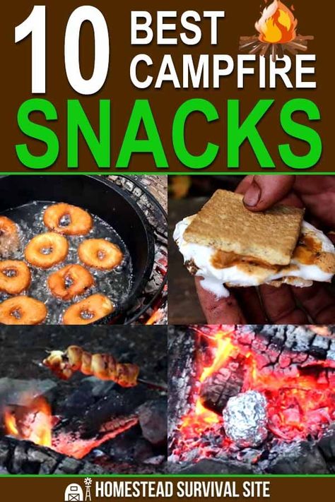 Campfire Snacks, Camp Snacks, Best Camping Meals, Camping Hacks Food, Tent Camping Hacks, Camping Snacks, Family Tent Camping, Campfire Food, Homestead Survival