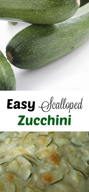 Scalloped Zucchini Casserole, Italian Squash Recipes, Scalloped Zucchini, Veggie Casserole, Zucchini Casserole, Zucchini Recipe, Low Carb Salad, Italian Cheese, Salad Side Dishes