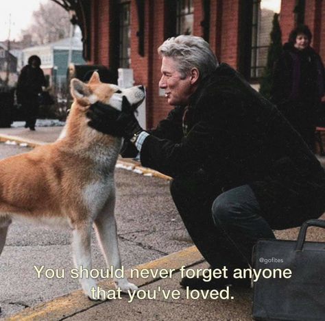 Hachi A Dogs Tale, A Dog's Tale, Best Movie Quotes, Movie Love Quotes, Cheesy Quotes, Writer Quotes, Movie Lines, Film Quotes, Movie Quotes