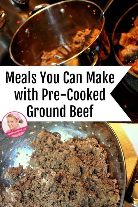 Lots of ways to use my pre-cooked ground beef! | A Slob Comes Clean Pre Cooked Ground Beef Recipes, Recipes Using Cooked Ground Beef, Different Ways To Cook Ground Beef, Meal Prep Hamburger Meat, Canned Ground Beef Recipes, Ways To Use Ground Beef, Canned Beef Recipe, Dinner List, Ground Beef Seasoning