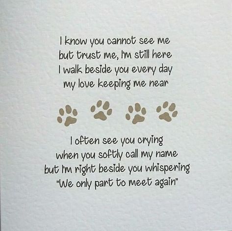 New Puppy After Losing A Dog Quotes, Heavens Pets, Doggy Heaven Quotes, Pet Memorial Quotes Cat, All Dogs Go To Heaven Quotes, Pet Memorial Quotes Dogs, I Miss My Dog Pet Loss, Dogs Go To Heaven Quotes, Dog In Heaven Quotes