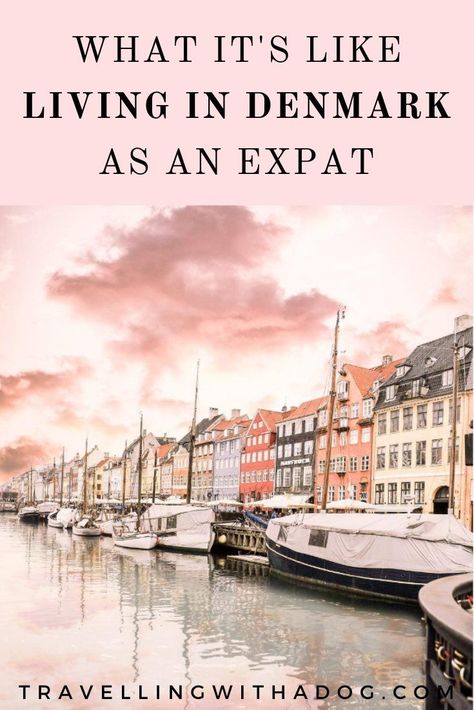 Move To Europe, Moving To Europe, Denmark Travel Guide, Copenhagen Travel, Denmark Travel, Best Travel Accessories, Scandinavian Countries, Work Abroad, Move Abroad