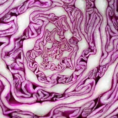 Macro Texture Photography, Close Up Food Photography, Food Close Up, Food Texture Photography, Upclose Photography, Cabbage Photography, Cabbage Purple, Macro Food Photography, Macro Food