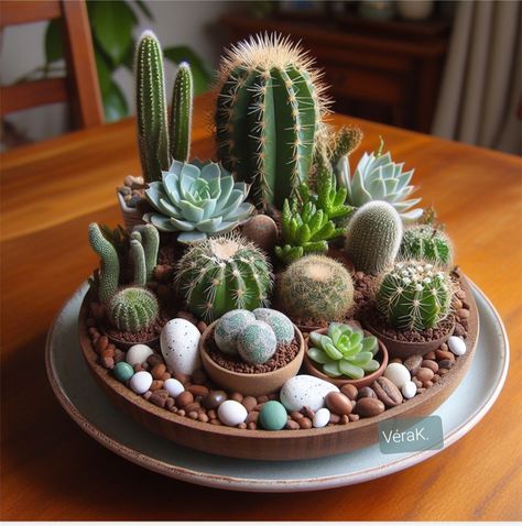 Cacti Pot Ideas, Cacti Garden Ideas, Pots Ideas For Plants, Cactus Succulent Arrangement, Indoor Cactus Garden Ideas, Terarium Kaktus Succulents Garden, Cactus Garden Indoor, Cactus Arrangements Ideas, Terrarios Suculentas Ideas