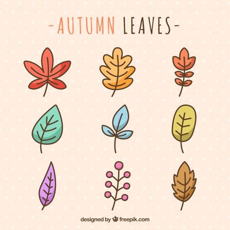 variety of hand drawn autumn leaves Cute Leaves Drawing, Cute Leaf Drawing, Variety Art, Fall Doodles, Autumn Doodles, Zestaw Ikon, Doodle Art Journals, Leaf Drawing, Floral Drawing