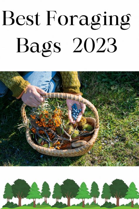 Best Foraging Bags 2023 Diy Foraging Bag, Foraging Bag Pattern, Foraging Bag, Urban Foraging, Sustainable Homestead, Homestead Ideas, Harvest Basket, Shop Apron, Fruit Picking