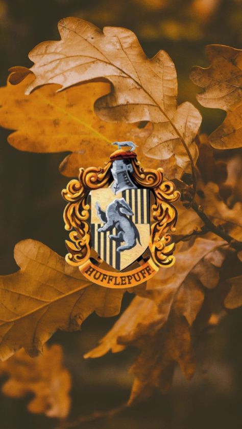 Harry Potter Iphone Wallpaper, Harry Potter Iphone, Porsche Logo, Phone Wallpapers, Hogwarts, Vehicle Logos, Phone Wallpaper, Iphone Wallpaper, Harry Potter