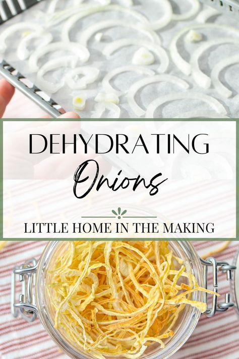 Dehydrated food keeps for a long time in the pantry, and is often more flavorful than similar store-bought options. Make your very own dehydrated onions with just onions and a dehydrator, or a low temperature oven. Includes instructions for making your own onion powder. How To Dehydrate Onions In The Oven, Dehydrated Onions In Dehydrator, Dehydrated Onions In The Oven, Oven Dehydrator Recipes, How To Dehydrate Onions In Dehydrator, Dehydrated Scalloped Potatoes, Dehydrating Onions In Dehydrator, Dehydrated Cabbage, Dehydrate In Oven