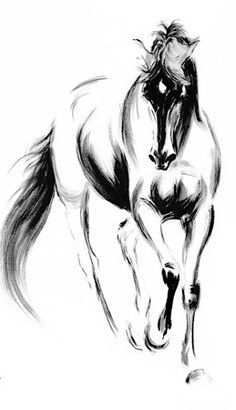 Horse Lover Tattoos | love this water color horse tattoo – Google Search. I wonder if I ... Painted Horses, Charcoal Drawings, Drawing Faces, Horse Tattoo, Contour Drawing, Horse Drawings, Gesture Drawing, Equine Art, Horse Coloring