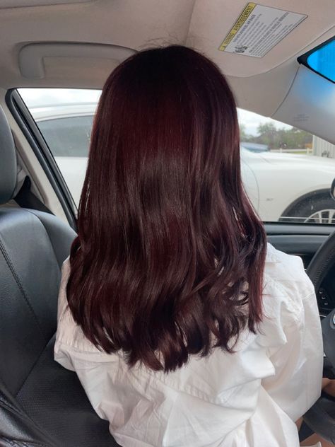 Dark Red Hair Color On Brown Hair, Dark Cherry Red Hair Pale Skin, Brown Hair Over Red Dye, Dark Red Hair Over Brown, Red Hair Dye On Dark Brown Hair, Cherry Coke Hair Color Aesthetic, Dark Cherry Coke Red Hair, Velvet Brown Hair Color, Chocolate Cherry Red Hair Color