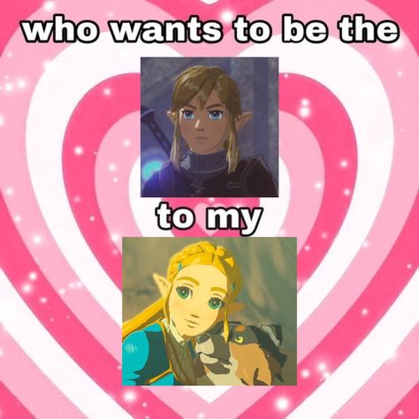 Totk Zelink, Zelda Funny, Alex G, Divorce And Kids, Bee And Puppycat, Zelda Breath, The Fam, Zelda Art, Breath Of The Wild