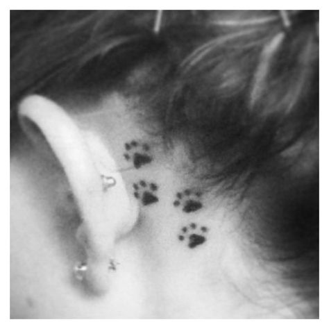 my tattoo! pawprints behind the ear. ❤ liked on Polyvore featuring accessories Pawprint Tattoos, Cat Tatoos, August Tattoo, Ear Tats, Paw Tattoos, Tattoos Fonts, Pug Tattoo, Behind The Ear Tattoo, Tattoo Dog