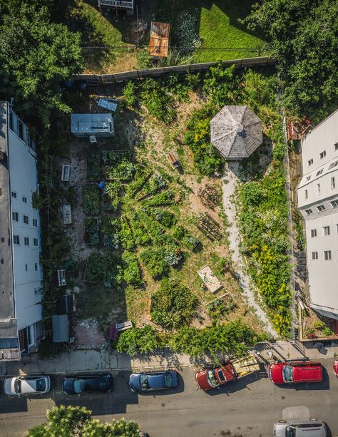 The exciting and untapped potential of food forests Food Forest Garden, Gardener Aesthetic, Tattoo Garden, Pruning Fruit Trees, Boston Food, Community Gardens, Garden Tattoo, Protect Nature, Urban Agriculture