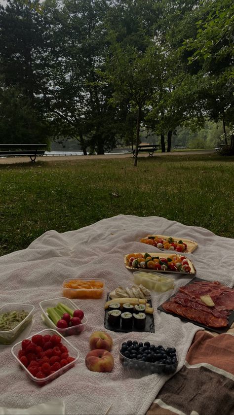 Outdoor Picnic Aesthetic, Picnic Park Aesthetic, Garden Picnic Aesthetic, Spring Picnic Aesthetic, Picnic Aesthetic With Table, Summer Picnic Aesthetic, Sushi Picnic, Park Picnic, Picnic Forest Aesthetic