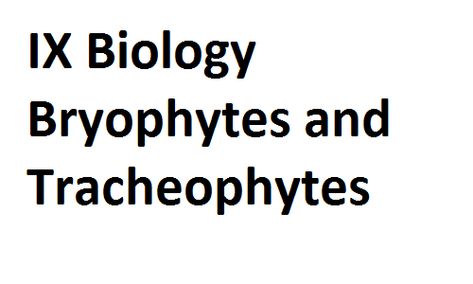 Short Trees, Wheat Rice, Moss Plant, Vascular Plant, Ornamental Plants, Planting Seeds, Life Cycles, Biology