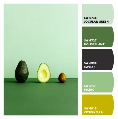 Paint colors from ColorSnap by Sherwin-Williams Office Inspo, Kids Bedrooms, My Dream Came True, Teen Bedroom, Color Pallets, Sherwin Williams, Color Palettes, Kiwi, Pickles