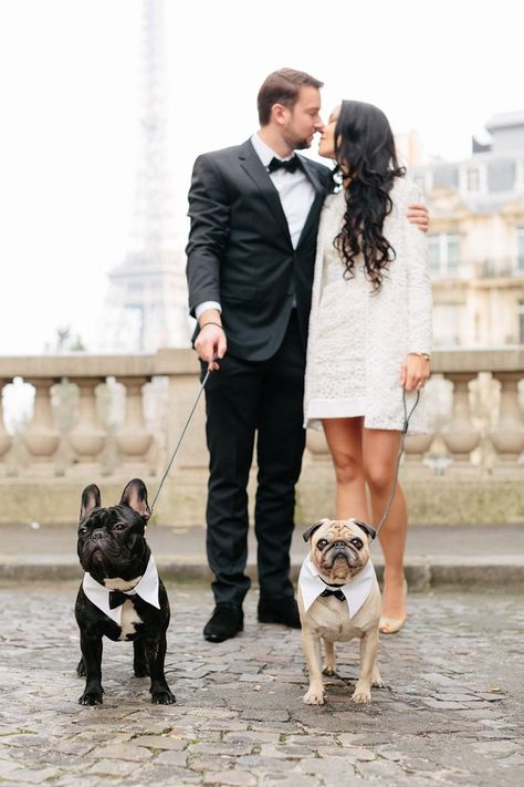 Dogs Wedding, Wedding Dogs, Pets Wedding, Small Wedding Venues, Dog Wedding Outfits, Town Hall Wedding, Grey Photography, Diy Wedding Ideas, Smallest Wedding Venue