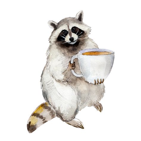 Coffee Character, Character Watercolor, Raccoon Tattoo, Raccoon Art, Colored Cups, Funny Raccoon, Animal Character, Raccoon Funny, Racoon