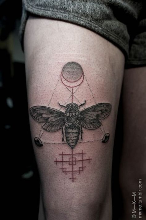 Grey Ink Tattoo, Cicada Tattoo, Yantra Tattoo, Tier Tattoo, M Tattoos, Insect Tattoo, Intricate Tattoo, Moth Tattoo, Bee Tattoo