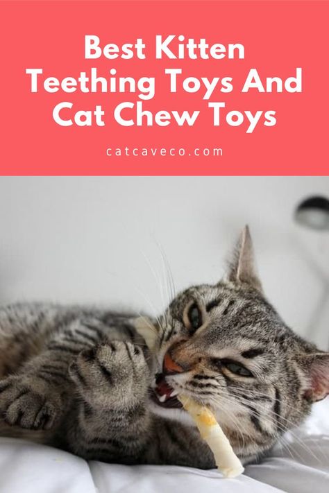 Kitten Teething Toys Diy, Diy Cat Toys Kittens, Best Teething Toys, Cat Scratching Furniture, Cats Toys, Homemade Cat Toys, Getting A Kitten, Interesting Shapes, Cat Exercise