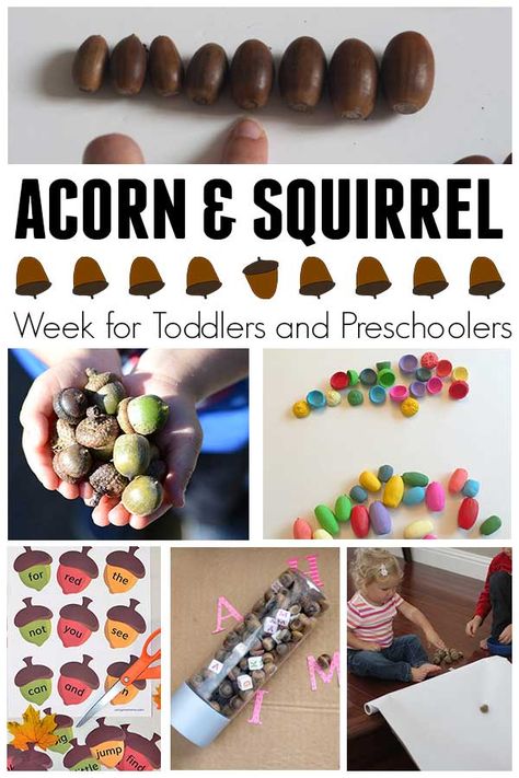 Squirrel Soup Preschool, Acorn And Squirrel Activities, Scaredy Squirrel Activity, Feed The Squirrel Activity, Squirrel Toddler Craft, Squirrel And Acorn Crafts Preschool, Squirrel Art For Toddlers, Preschool Squirrel Activities, Squirrel Activities For Kids