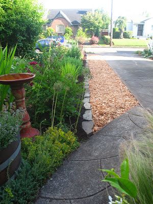 Just a girl with a hammer: I made you a cedar chip wasteland Cedar Chips, Central Texas, Just A Girl, How Many, A Girl, Landscaping, Texas, Make It Yourself