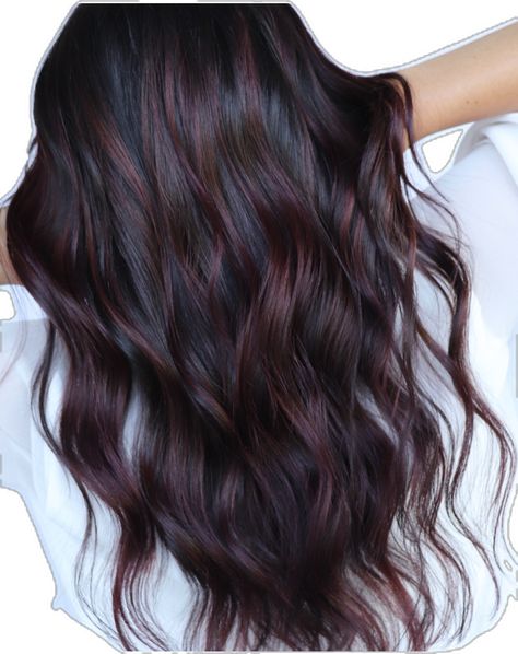 Wine Color Balayage, Chocolate Brown With Burgundy Highlights, Red Highlights On Dark Hair Straight, Red And Dark Hair, Dark Brown Hair With Maroon Highlights, Black Hair With Cherry Highlights, Dark Cherry Highlights On Dark Hair, Dark Hair With Purple Undertones, Blackberry Balayage