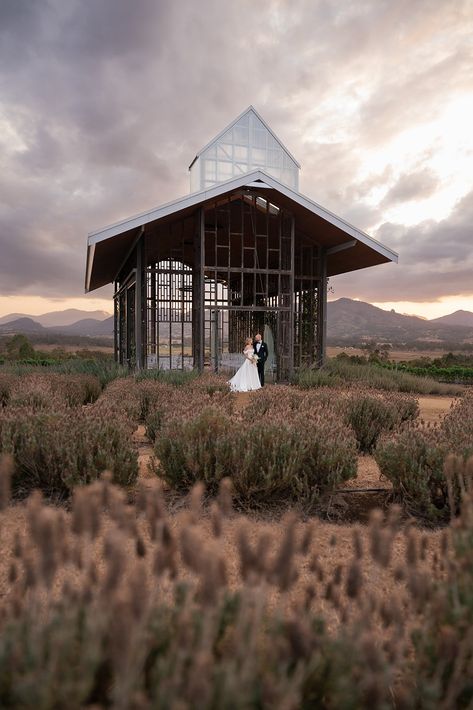 Kooroomba Lavender Farm | Scenic Rim Wedding Photography — Figtree Pictures Kooroomba Lavender Farm Wedding, Open Air Chapel, Lavender Farm Wedding, Coast Photography, Video Team, Lavender Farm, Day Plan, Photography And Videography, Farm Wedding