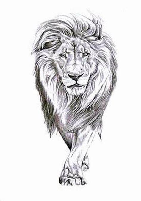 Lion Walking Lion Walking, Tier Tattoo, Lion Sketch, Tattoo Lion, Lion Drawing, Lion Tattoo Design, Leo Tattoos, Graffiti Designs, 수채화 그림