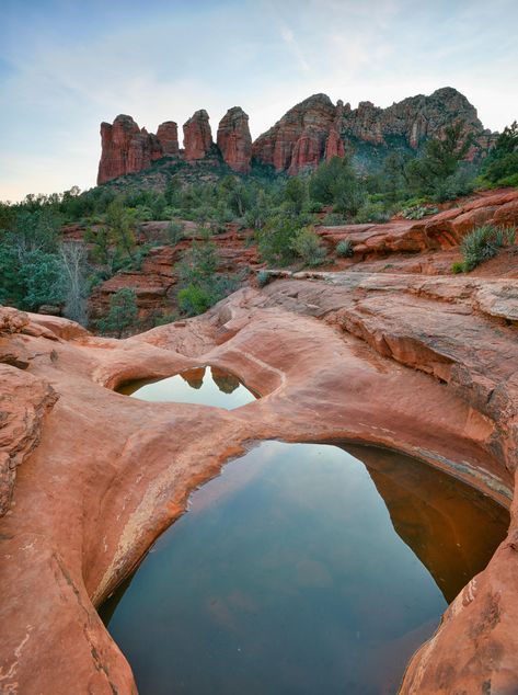 The Seven Sacred Pools in Sedona Arizona seemed like an alien world to me [4016x5380][OC]  Click the link for this photo in Original Resolution.  If you have Twitter follow twitter.com/lifeporn5 for more cool photos.  Thank you author: http://bit.ly/38Jkswz  Broadcasted to you on Pinterest by pinterest.com/sasha_limm  Have The Nice Life! Sedona Arizona Aesthetic, Sedona Aesthetic, Sedona Mountains, Sedona Arizona Photography, Arizona Rocks, Arizona Aesthetic, Arizona Photography, International Travel Tips, Arizona Travel