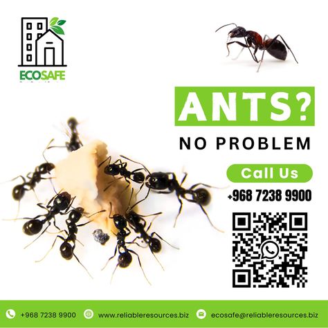 Say Goodbye to Ants with ECOSAFE! 🐜🚫 Professional and eco-friendly ant control for your home and business. Protect your property today! 📞 +968 7238 9900 | +968 7237 9900 📧 ecosafe@reliableresources.biz 🌐 www.reliableresources.biz #AntControl #PestControl #EcoSafe #Oman #Muscat #HomeSafety #EcoFriendly #PestFree #ProtectYourHome #ProfessionalServices #AntExtermination #SayNoToAnts #CommercialPestControl #ResidentialPestControl #TermiteControl #SafePestControl #PestPrevention #CleanHome #Heal... Ant Control, Pest Prevention, Best Pest Control, Termite Control, Bride Photography Poses, Pest Control Services, Bride Photography, Home Safety, Pest Control