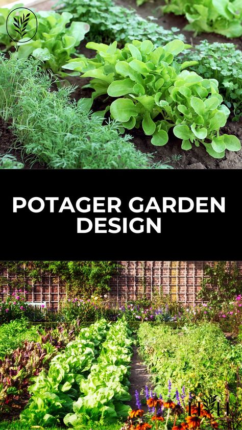 French Kitchen Garden Layout, German Garden Design, Small Potager Garden Layout, French Potager Garden Design, Large Herb Garden Layout, Creative Vegetable Garden Ideas, Potager Garden Design Small Spaces, Potager Garden Design Layout, Herb Garden Outdoor Design